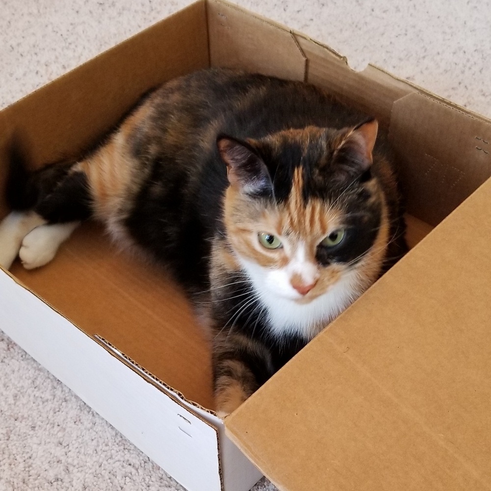 Meet your Posher, Kindra